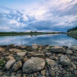DSC_5070 (1)